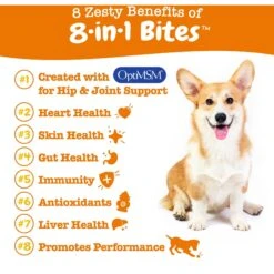 Zesty Paws 8-in-1 Bites Peanut Butter Flavored Soft Chews Multivitamin For Dogs & Purina Pro Plan Adult Sensitive Skin & Stomach Salmon & Rice Formula Dry Dog Food 13 Zesty Paws 8-in-1 Bites Peanut Butter Flavored Soft Chews Multivitamin For Dogs & Purina Pro Plan Adult Sensitive Skin & Stomach Salmon & Rice Formula Dry Dog Food -Pet Wellness 365455 PT4. AC SS1800 V1701891542