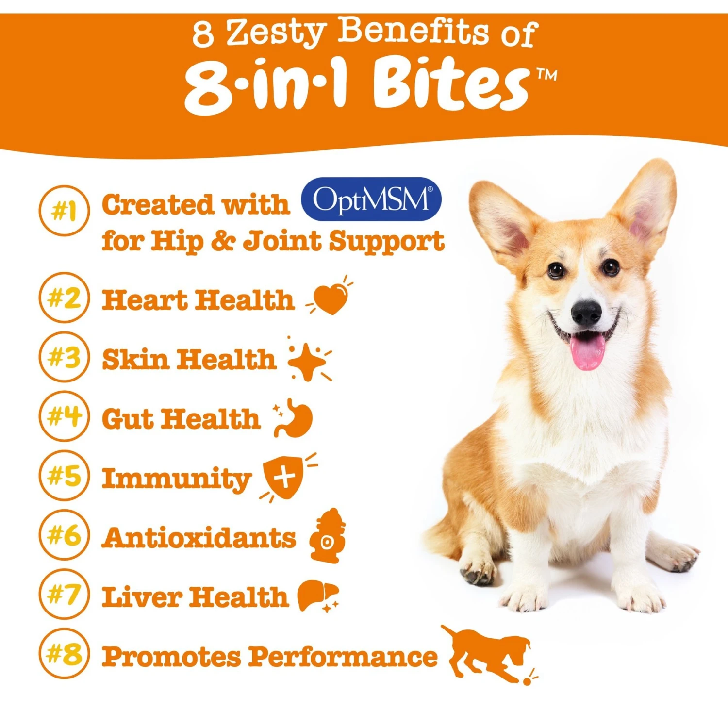 Zesty Paws 8-in-1 Bites Peanut Butter Flavored Soft Chews Multivitamin For Dogs & Purina Pro Plan Adult Sensitive Skin & Stomach Salmon & Rice Formula Dry Dog Food 5 Zesty Paws 8-in-1 Bites Peanut Butter Flavored Soft Chews Multivitamin For Dogs & Purina Pro Plan Adult Sensitive Skin & Stomach Salmon & Rice Formula Dry Dog Food - Image 5