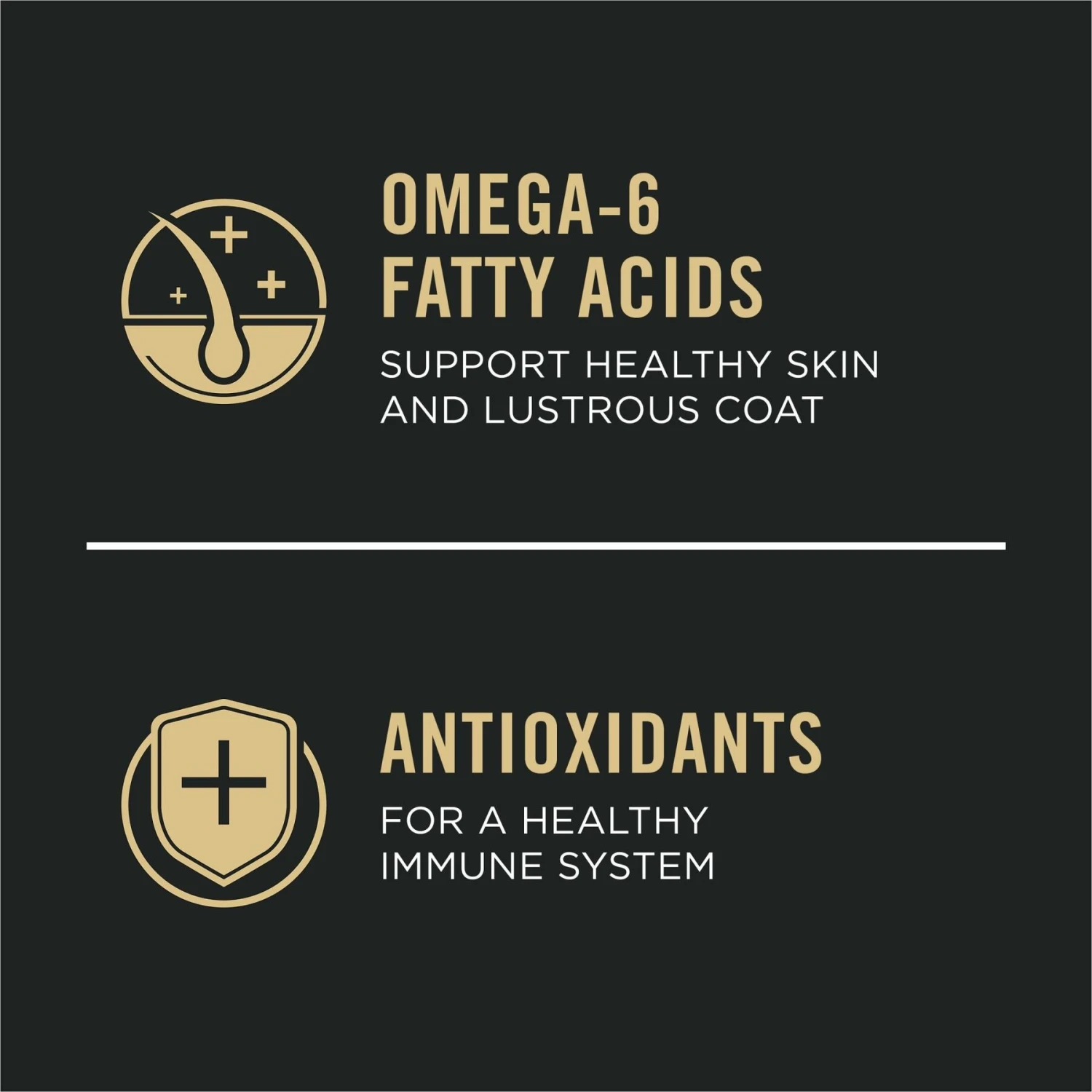 Zesty Paws 8-in-1 Bites Peanut Butter Flavored Soft Chews Multivitamin For Dogs & Purina Pro Plan Adult Sensitive Skin & Stomach Salmon & Rice Formula Dry Dog Food 9 Zesty Paws 8-in-1 Bites Peanut Butter Flavored Soft Chews Multivitamin For Dogs & Purina Pro Plan Adult Sensitive Skin & Stomach Salmon & Rice Formula Dry Dog Food - Image 9