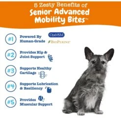 Zesty Paws Advanced Mobility Bites Chicken Flavored Soft Chews Glucosamine Hip & Joint Supplement For Senior Dogs & Zesty Paws Hemp Elements Mobility OraStix Peppermint Flavored Dog Dental Chews -Pet Wellness 365485 PT8. AC SS1800 V1703799160
