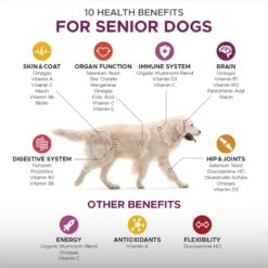 PetHonesty Duck Flavored Soft Chews Multivitamin For Senior Dogs & PetHonesty Allergy Support Salmon Flavored Soft Chews Supplement For Dogs -Pet Wellness 365488 PT3. AC SS1800 V1676650083