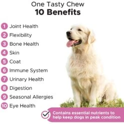 PetHonesty Duck Flavored Soft Chews Multivitamin For Senior Dogs & PetHonesty Multivitamin 10-in-1 Chicken Flavored Soft Chews Multivitamin For Dogs -Pet Wellness 365489 PT4. AC SS1800 V1678391875