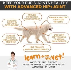 PetHonesty Duck Flavored Soft Chews Multivitamin For Senior Dogs & PetHonesty Advanced Hip + Joint Chicken Flavored Soft Chews Joint Supplement For Dogs -Pet Wellness 365490 PT7. AC SS1800 V1644013291