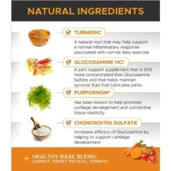 PetHonesty Duck Flavored Soft Chews Multivitamin For Senior Dogs & PetHonesty Advanced Hip + Joint Chicken Flavored Soft Chews Joint Supplement For Dogs -Pet Wellness 365490 PT8. AC SS1800 V1644019634