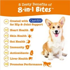 Purina Pro Plan Veterinary Diets FortiFlora Powder Digestive Supplement For Dogs & Zesty Paws Multivitamin 8-in-1 Bites Chicken Flavored Soft Chews Supplement For Dogs 13 Purina Pro Plan Veterinary Diets FortiFlora Powder Digestive Supplement For Dogs & Zesty Paws Multivitamin 8-in-1 Bites Chicken Flavored Soft Chews Supplement For Dogs -Pet Wellness 365492 PT4. AC SS1800 V1701963761