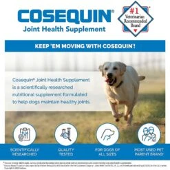 Nutramax Cosequin Hip & Joint Maximum Strength Plus MSM Chewable Tablets Joint Supplement For Dogs & Nutramax Proviable Probiotics & Prebiotics Capsules Digestive Supplement For Cats & Dogs -Pet Wellness 365493 PT4. AC SS1800 V1644015092