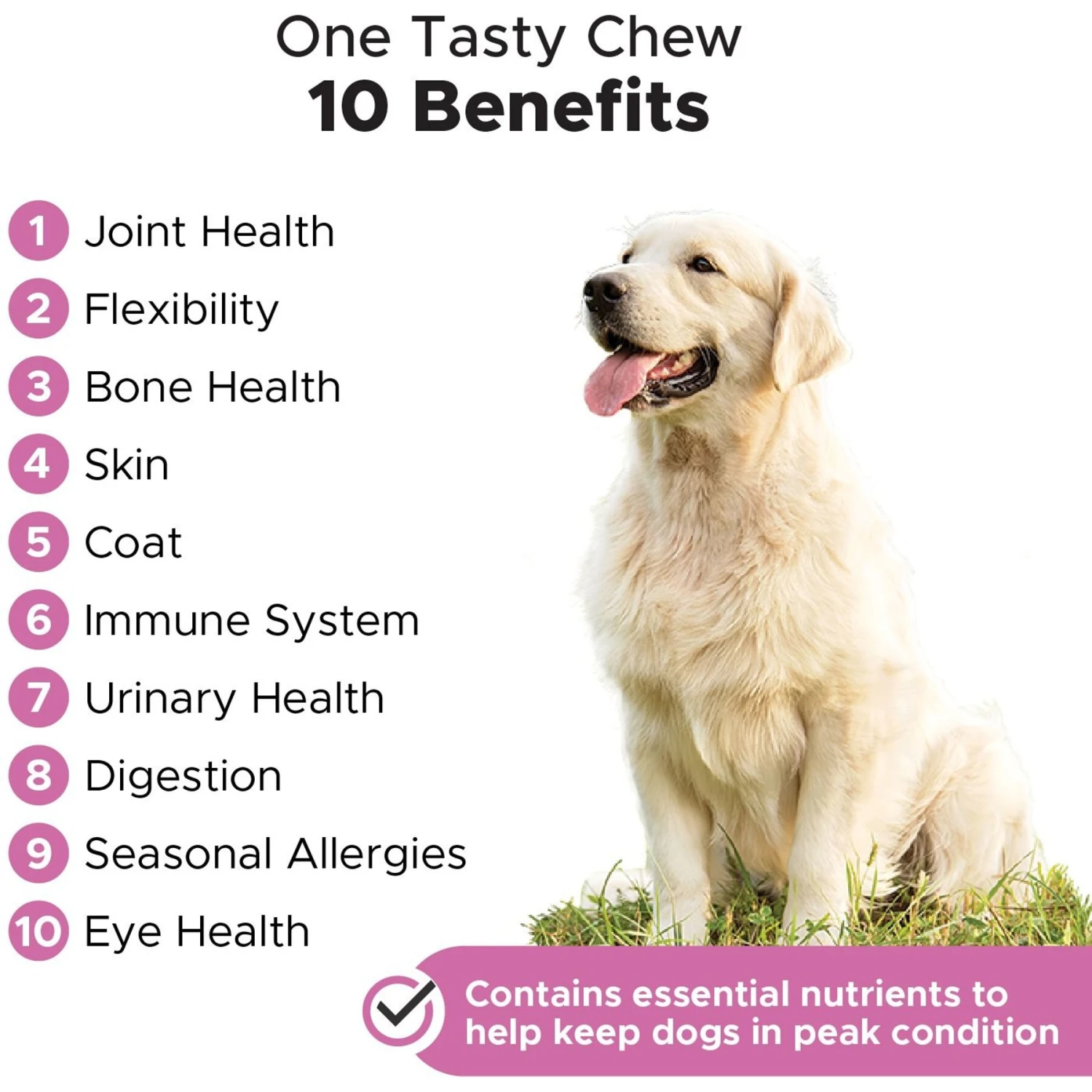 Purina Pro Plan Veterinary Diets FortiFlora Powder Digestive Supplement For Dogs & PetHonesty Multivitamin 10-in-1 Chicken Flavored Soft Chews Multivitamin For Dogs 5 Purina Pro Plan Veterinary Diets FortiFlora Powder Digestive Supplement For Dogs & PetHonesty Multivitamin 10-in-1 Chicken Flavored Soft Chews Multivitamin For Dogs - Image 5