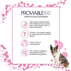 Nutramax Proviable Probiotics & Prebiotics Capsules Digestive Supplement For Cats & Dogs & Nutramax Cobalequin Chewable Tablets B12 Supplement For Medium To Large Dogs -Pet Wellness 365496 PT4. AC SS1800 V1644022039