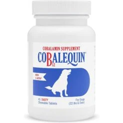 Nutramax Proviable Probiotics & Prebiotics Capsules Digestive Supplement For Cats & Dogs & Nutramax Cobalequin Chewable Tablets B12 Supplement For Medium To Large Dogs -Pet Wellness 365496 PT6. AC SS1800 V1644013581