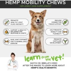 PetHonesty Hemp Hip + Joint Health Duck Flavored Soft Chews Joint Supplement For Dogs & Purina Pro Plan Veterinary Diets FortiFlora Powder Digestive Supplement For Dogs -Pet Wellness 365497 PT3. AC SS1800 V1644015997
