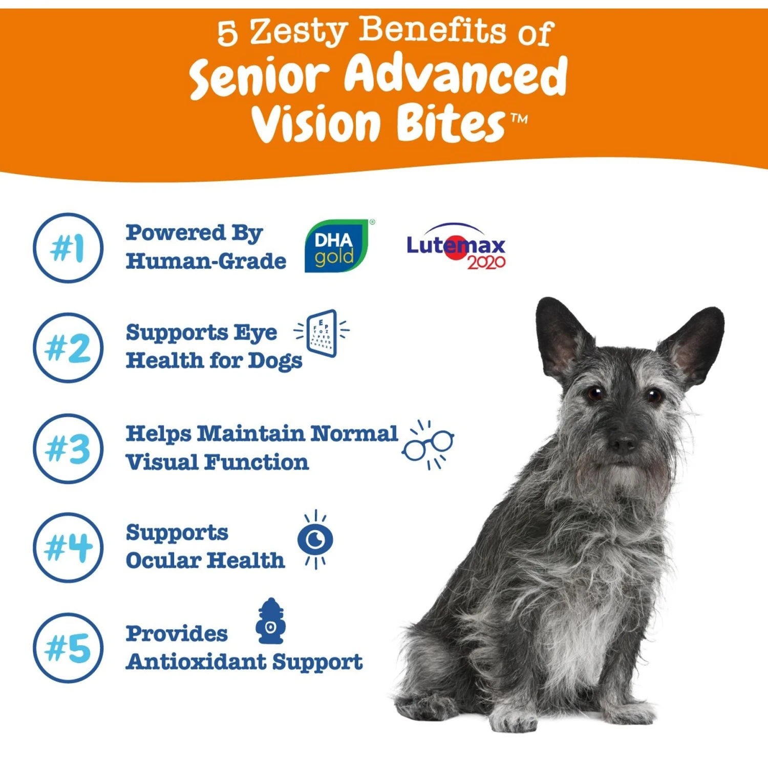 Zesty Paws Advanced Vision Bites Chicken Flavored Soft Chews Vision Supplement For Senior Dogs & Zesty Paws Advanced Mobility Bites Chicken Flavored Soft Chews Glucosamine Hip & Joint Supplement For Senior Dogs 5 Zesty Paws Advanced Vision Bites Chicken Flavored Soft Chews Vision Supplement For Senior Dogs & Zesty Paws Advanced Mobility Bites Chicken Flavored Soft Chews Glucosamine Hip & Joint Supplement For Senior Dogs - Image 5