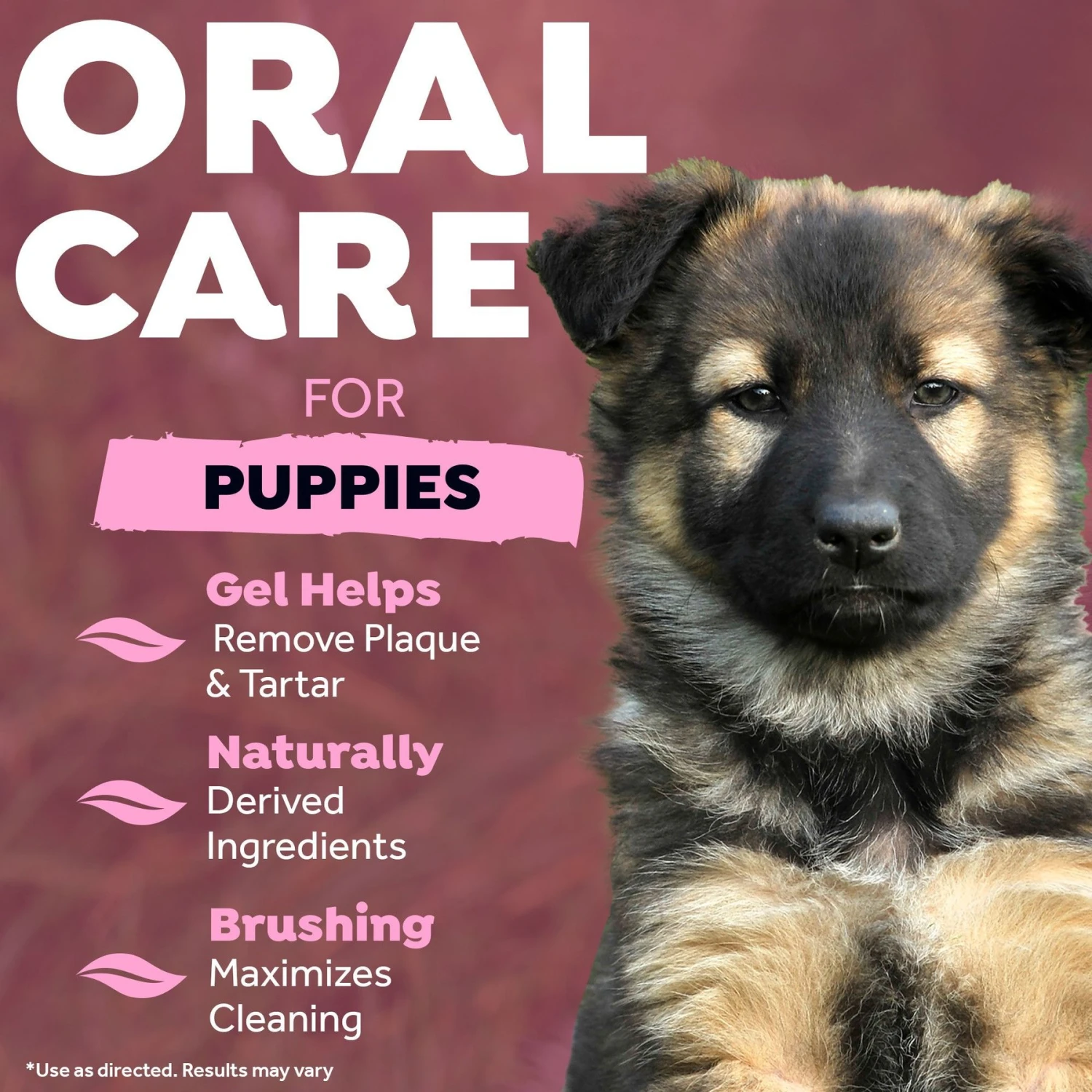 TropiClean Fresh Breath Oral Care Puppy Dental Kit & Burt's Bees Tearless Puppy Shampoo With Buttermilk For Dogs 4 TropiClean Fresh Breath Oral Care Puppy Dental Kit & Burt's Bees Tearless Puppy Shampoo With Buttermilk For Dogs - Image 4