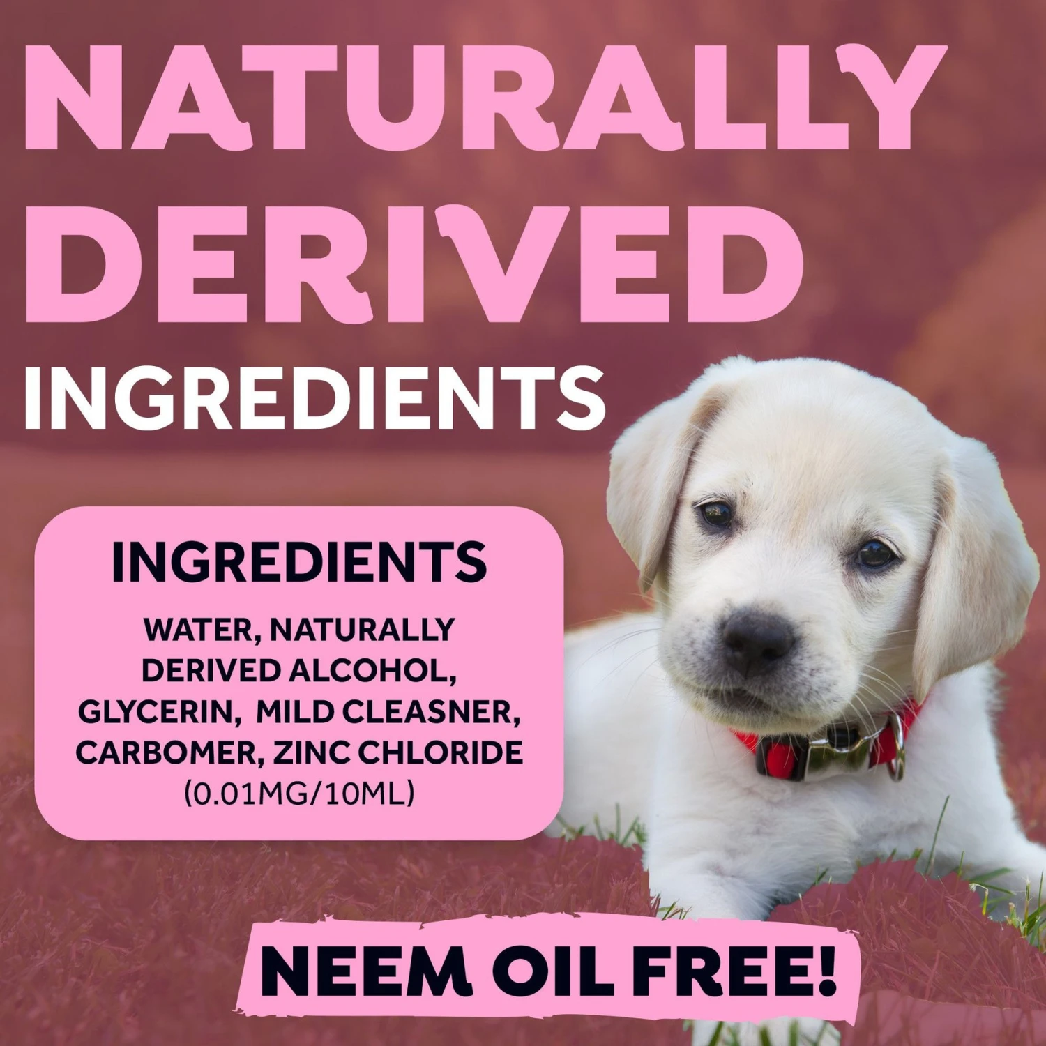 TropiClean Fresh Breath Oral Care Puppy Dental Kit & Burt's Bees Tearless Puppy Shampoo With Buttermilk For Dogs 5 TropiClean Fresh Breath Oral Care Puppy Dental Kit & Burt's Bees Tearless Puppy Shampoo With Buttermilk For Dogs - Image 5