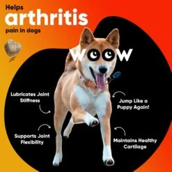 Dr Woow Hip & Joint Lamb Flavored Soft Chew Joint Supplement For Dogs, 90 Count -Pet Wellness 366508 PT2. AC SS1800 V1643908474