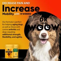 Dr Woow Hip & Joint Lamb Flavored Soft Chew Joint Supplement For Dogs, 90 Count -Pet Wellness 366508 PT6. AC SS1800 V1643908530