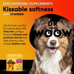 Dr Woow Omega Chews Skin & Coat Salmon Flavored Supplement For Dogs, 90-count -Pet Wellness 366510 PT6. AC SS1800 V1643914018