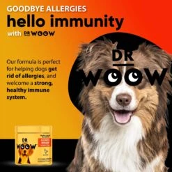 Dr Woow Duck Flavored Soft Chew Allergy & Immune Supplement For Dogs, 90 Count 14 Dr Woow Duck Flavored Soft Chew Allergy & Immune Supplement For Dogs, 90 Count -Pet Wellness 366512 PT6. AC SS1800 V1643911622