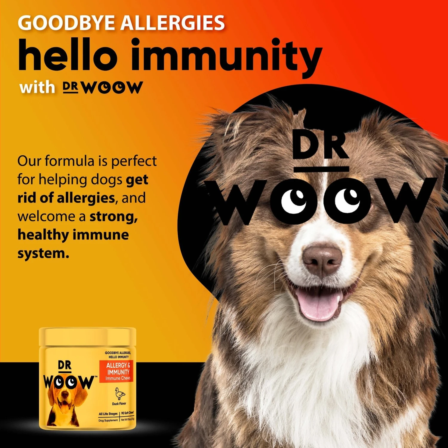 Dr Woow Duck Flavored Soft Chew Allergy & Immune Supplement For Dogs, 90 Count 7 Dr Woow Duck Flavored Soft Chew Allergy & Immune Supplement For Dogs, 90 Count - Image 7