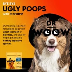 Dr Woow Pre, Pro & Post Biotics Duck & Pumpkin Flavor Soft Chew Digestion Supplement For Dogs, 90 Count -Pet Wellness 366514 PT6. AC SS1800 V1643908333