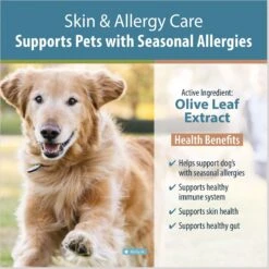 JustFoodForDogs Skin & Allergy Care Capsule Skin & Coat Supplement For Dogs, 60 Count -Pet Wellness 367574 PT2. AC SS1800 V1681394726