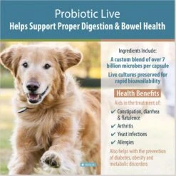 JustFoodForDogs Probiotic Live Capsule Digestive Supplement For Dogs, 60 Count 8 JustFoodForDogs Probiotic Live Capsule Digestive Supplement For Dogs, 60 Count -Pet Wellness 367576 PT2. AC SS1800 V1681394969