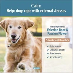 JustFoodForDogs Calm Capsule Calming Supplement For Dogs, 90 Count 8 JustFoodForDogs Calm Capsule Calming Supplement For Dogs, 90 Count -Pet Wellness 367578 PT2. AC SS1800 V1682017749
