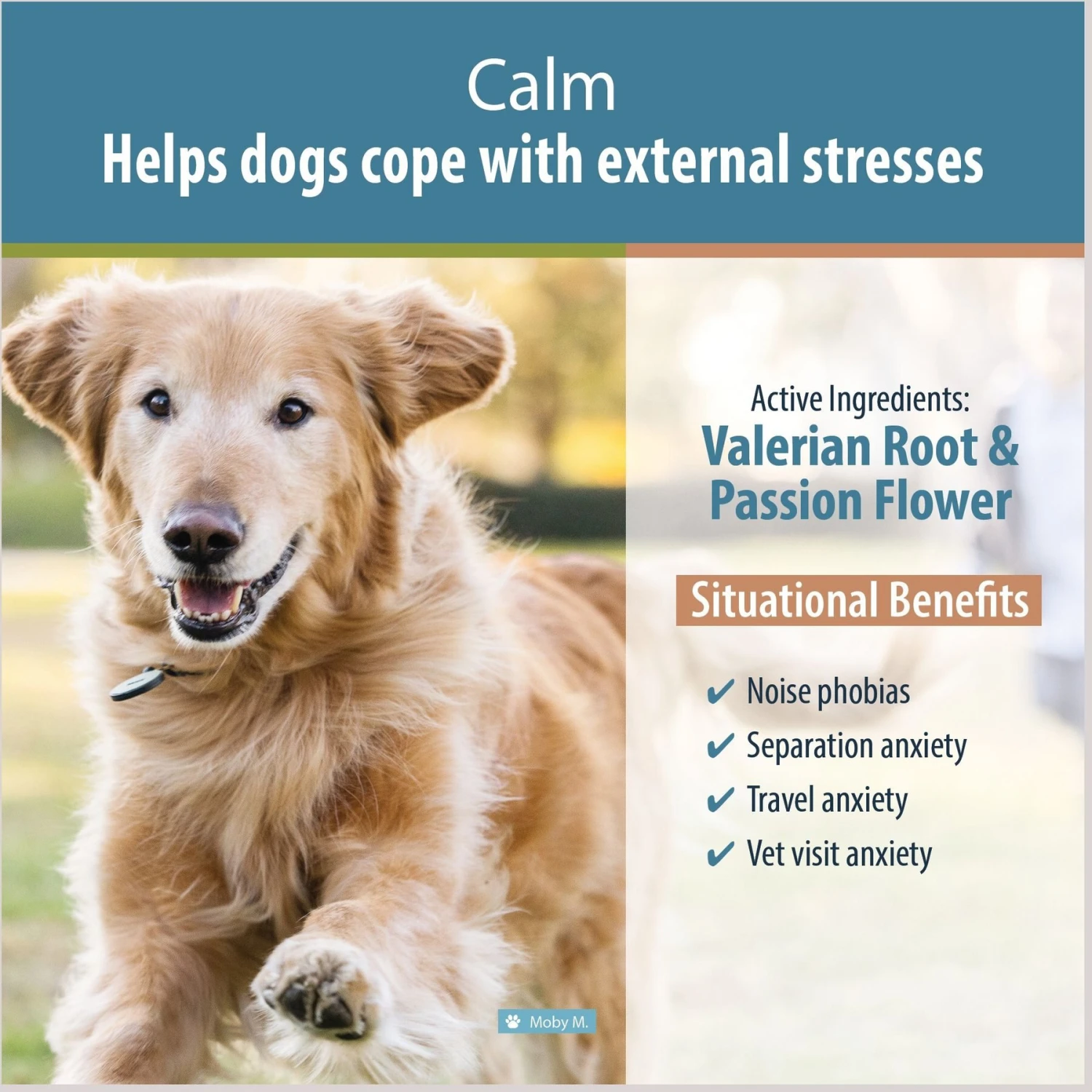 JustFoodForDogs Calm Capsule Calming Supplement For Dogs, 90 Count 3 JustFoodForDogs Calm Capsule Calming Supplement For Dogs, 90 Count - Image 3