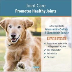 JustFoodForDogs Joint Care Capsule Joint Supplement For Dogs, 60 Count 8 JustFoodForDogs Joint Care Capsule Joint Supplement For Dogs, 60 Count -Pet Wellness 367580 PT2. AC SS1800 V1681394638