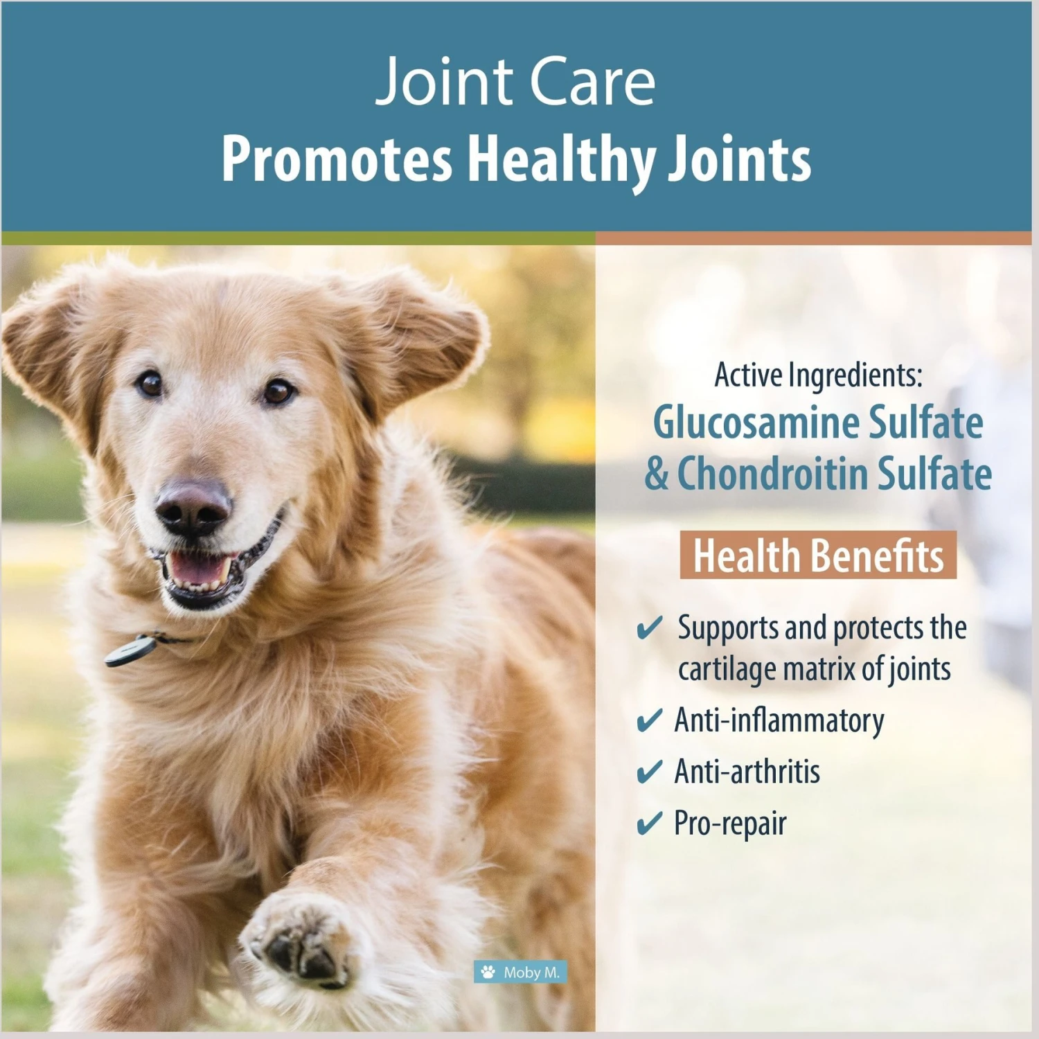 JustFoodForDogs Joint Care Capsule Joint Supplement For Dogs, 60 Count 3 JustFoodForDogs Joint Care Capsule Joint Supplement For Dogs, 60 Count - Image 3