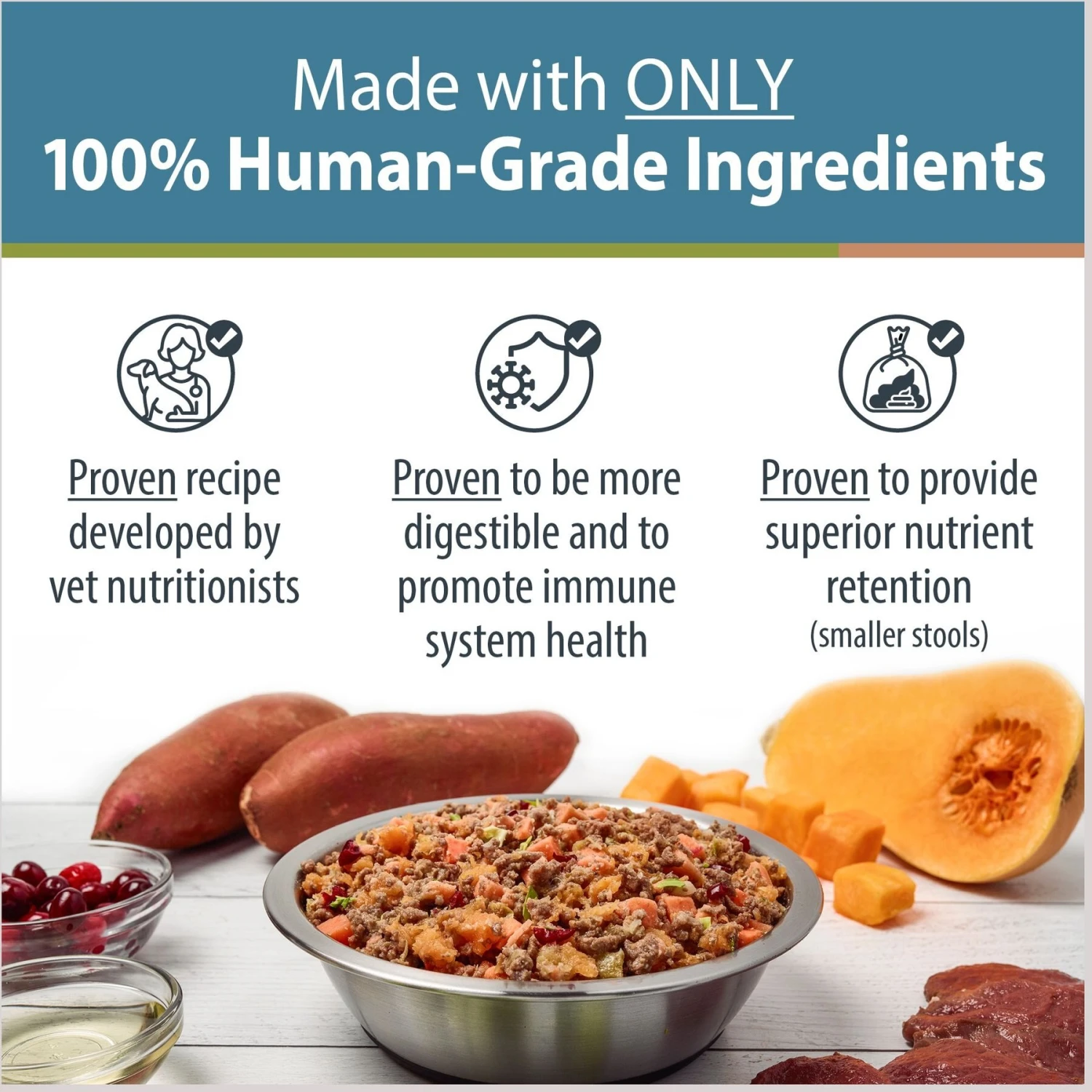 JustFoodForDogs Venison & Squash Recipe Frozen Human-Grade Fresh Dog Food 2 JustFoodForDogs Venison & Squash Recipe Frozen Human-Grade Fresh Dog Food - Image 2