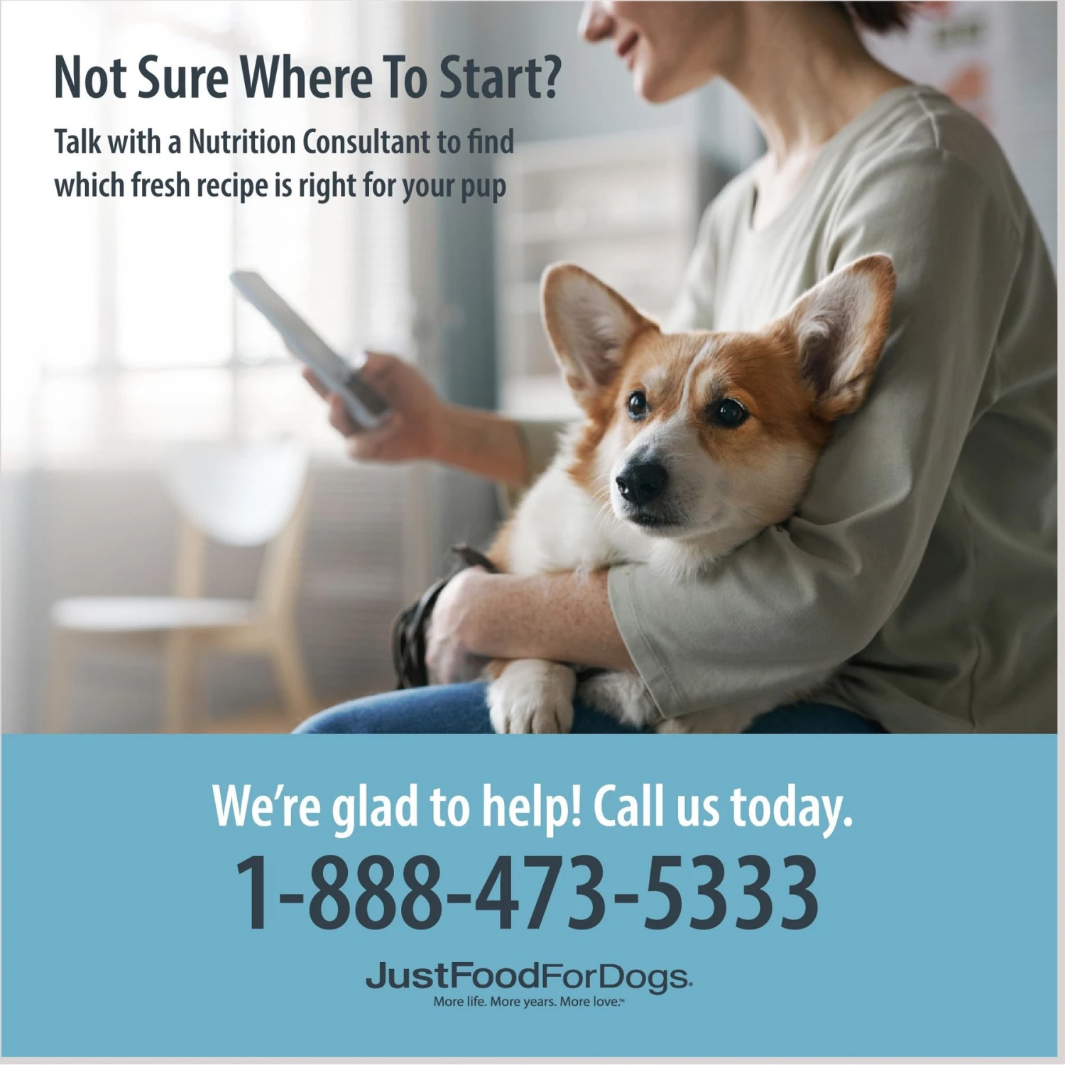 JustFoodForDogs Venison & Squash Recipe Frozen Human-Grade Fresh Dog Food 6 JustFoodForDogs Venison & Squash Recipe Frozen Human-Grade Fresh Dog Food - Image 6