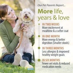 JustFoodForDogs Veterinary Diet Renal Support Low Protein Frozen Human-Grade Fresh Dog Food -Pet Wellness 368109 PT5. AC SS1800 V1675350530