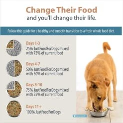 JustFoodForDogs Veterinary Diet Renal Support Low Protein Frozen Human-Grade Fresh Dog Food -Pet Wellness 368109 PT8. AC SS1800 V1675356338