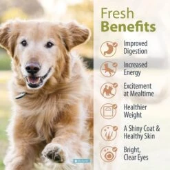 JustFoodForDogs Balanced Remedy Recipe Frozen Human-Grade Fresh Dog Food 13 JustFoodForDogs Balanced Remedy Recipe Frozen Human-Grade Fresh Dog Food -Pet Wellness 368113 PT4. AC SS1800 V1675351725