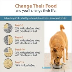JustFoodForDogs Balanced Remedy Recipe Frozen Human-Grade Fresh Dog Food 17 JustFoodForDogs Balanced Remedy Recipe Frozen Human-Grade Fresh Dog Food -Pet Wellness 368113 PT8. AC SS1800 V1675356888