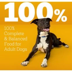 Pedigree High Protein Chicken & Turkey Flavor Adult Dry Dog Food -Pet Wellness 368365 PT8. AC SS1800 V1668026299