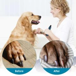 Casfuy LED Light Electric Dog & Cat Nail Grinder 12 Casfuy LED Light Electric Dog & Cat Nail Grinder -Pet Wellness 369111 PT5. AC SS1800 V1657657430