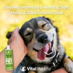 Vital Pet Life Oatmeal & Aloe Dog Shampoo, 16-oz -Pet Wellness 369340 PT5. AC SS1800 V1646946144