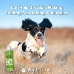 Vital Pet Life Oatmeal & Aloe Dog Shampoo, 16-oz -Pet Wellness 369340 PT6. AC SS1800 V1646944937