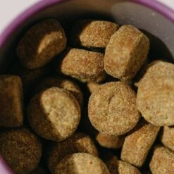 Good Trouble Multivitamin & Probiotic Blend Soft Chew Supplement For Dogs, 55 Count -Pet Wellness 369427 PT2. AC SS1800 V1645574212