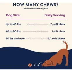 Good Trouble Multivitamin & Probiotic Blend Soft Chew Supplement For Dogs, 55 Count -Pet Wellness 369427 PT6. AC SS1800 V1645575424