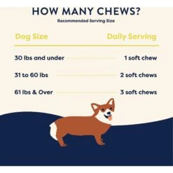 Good Trouble Hip & Joint Soft Chew Supplement For Dogs, 55 Count -Pet Wellness 369429 PT6. AC SS1800 V1645590983