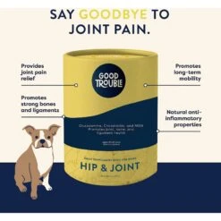 Good Trouble Hip & Joint Soft Chew Supplement For Dogs, 55 Count -Pet Wellness 369429 PT7. AC SS1800 V1645588360