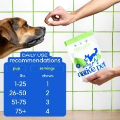 Native Pet Relief Chicken Soft Chew To Support Joint Tenderness Dog Supplement -Pet Wellness 369813 PT5. AC SS1800 V1687962792