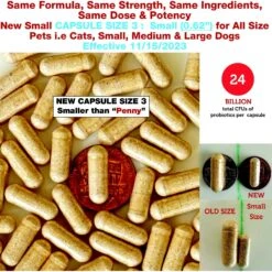 Pet Health Pharma Azovast Plus Capsule Kidney Supplement For Dogs & Cats, 120 Count -Pet Wellness 369978 PT2. AC SS1800 V1672328162