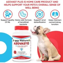 Pet Health Pharma Azovast Plus Capsule Kidney Supplement For Dogs & Cats, 120 Count -Pet Wellness 369978 PT6. AC SS1800 V1672328221