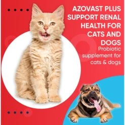Pet Health Pharma Azovast Plus Capsule Kidney Supplement For Dogs & Cats, 120 Count -Pet Wellness 369978 PT7. AC SS1800 V1672342671