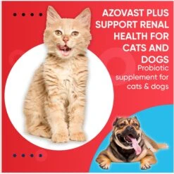 Pet Health Pharma Azovast Plus Powder Kidney Supplement For Dogs & Cats, 6-oz Jar -Pet Wellness 369980 PT7. AC SS1800 V1672342671