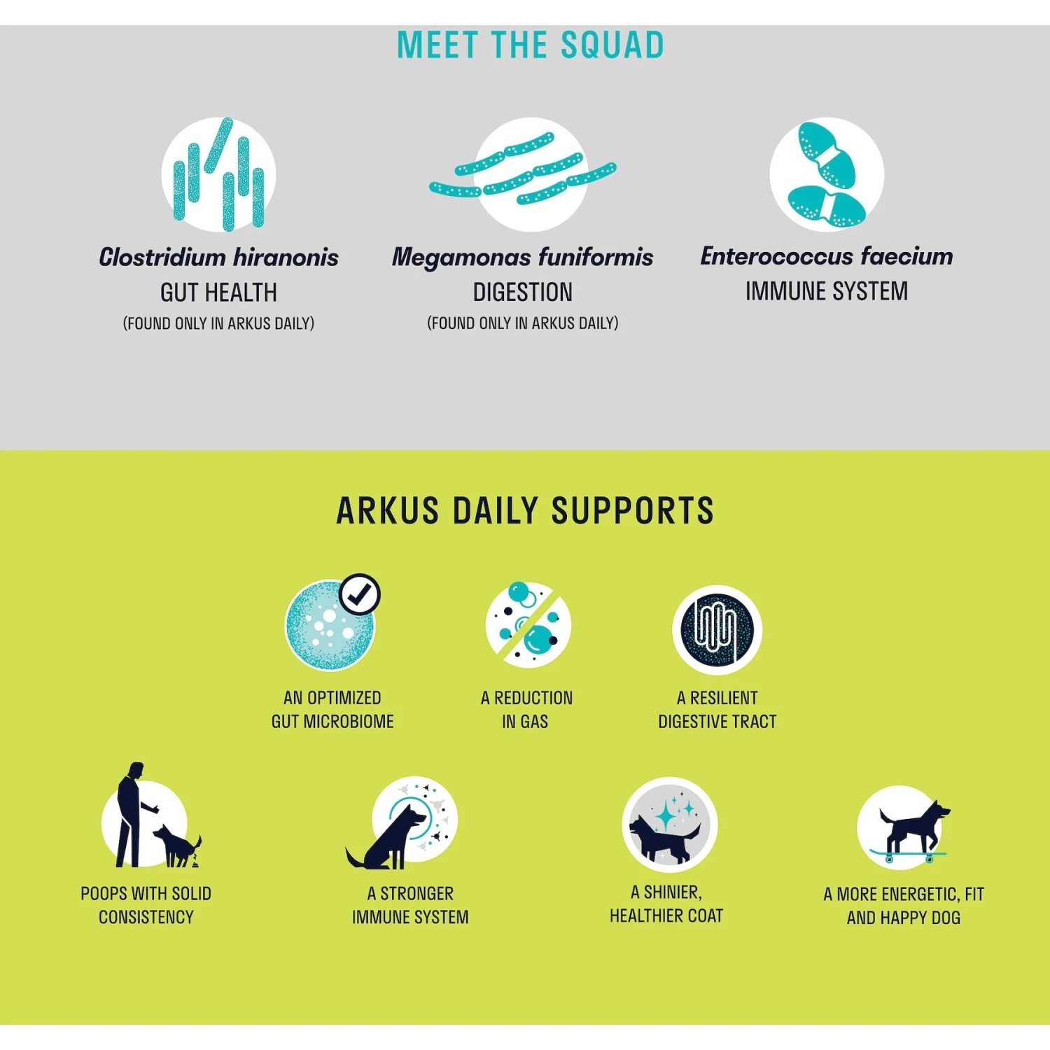 Arkus Daily All-Natural Probiotic Digestive Dog Health Supplement, 0.8-oz Jar 6 Arkus Daily All-Natural Probiotic Digestive Dog Health Supplement, 0.8-oz Jar - Image 6