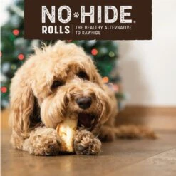 Earth Animal No-Hide Long Lasting Natural Rawhide Alternative The Feast Recipe Small Chew Dog Treats, 2 Count -Pet Wellness 372305 PT5. AC SS1800 V1691603980